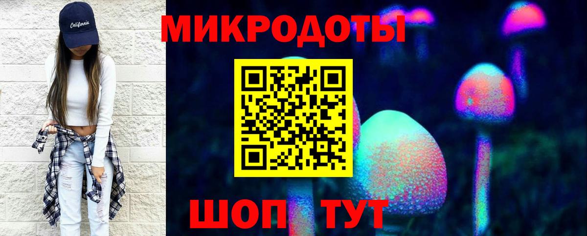 Галлюциногенные грибы Magic Shrooms Курчалой