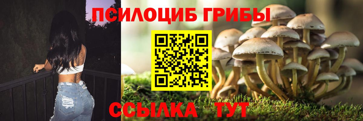 Курчалой  Галлюциногенные грибы GOLDEN TEACHER  Вход с VPN 