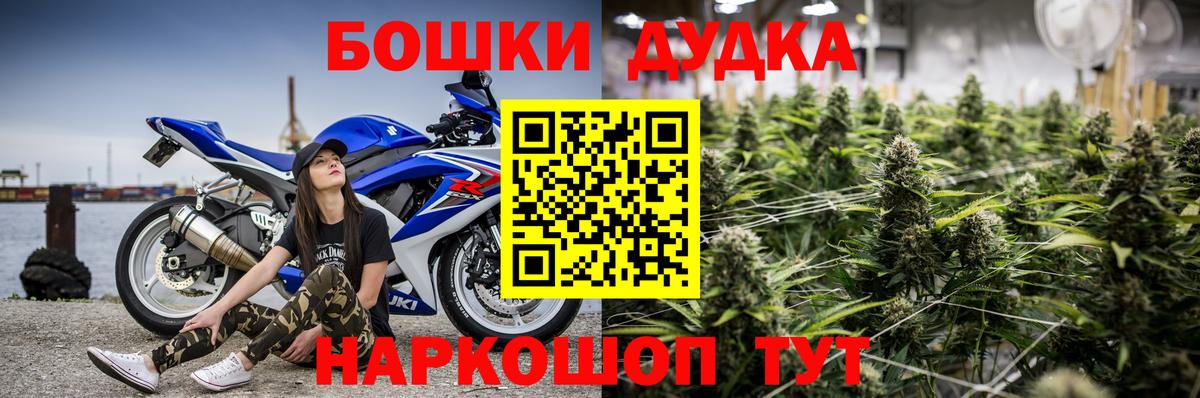 Канабис план Курчалой